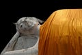 Sleeping Buddha statue at the temple in Ayutthaya Royalty Free Stock Photo