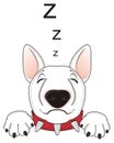 Sleeping bull terrier