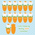 Sleeping Bunny 2019 Calendar Design Vector