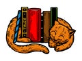 Sleeping cat around books engraving vector