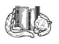 Sleeping cat around books engraving vector