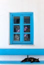 Sleeping cat on a bench in front of a Greek, blue window Royalty Free Stock Photo