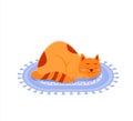 Sleeping Cat on carpet. Vector Illustration in flat design Royalty Free Stock Photo