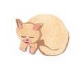 A sleeping cat in pastel colors.Watercolor illustration Royalty Free Stock Photo