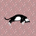 Sleeping Cats Pattern Seamless In Vector.