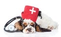 Sleeping Cocker Spaniel puppy wearing hat doctor with stethoscope on his neck. isolated on white background