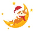 Sleeping Corgi puppy in a red hat on the moon. Merry Christmas. Vector illustration in cartoon flat style. Christmas animals theme