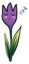 Sleeping crocus, illustration, vector