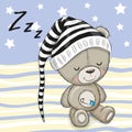 Sleeping cute Teddy Bear in a hood