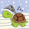 Sleeping cute Turtle in a hood