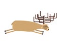 Sleeping deer. wild animal sleeps. Sleepy moose