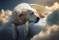 sleeping dog on a cloud. heaven for dogs. pet death.