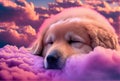 sleeping dog on a cloud. heaven for dogs. pet death.