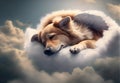 sleeping dog on a cloud. heaven for dogs. pet death.