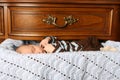 Sleeping in Drawer Royalty Free Stock Photo