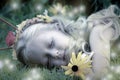 Sleeping Fairy's Nightlights Royalty Free Stock Photo