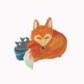 sleeping fox with a bucket of fish