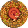 The Sleeping Fox Mother and Child in the Falling Leaves. Royalty Free Stock Photo