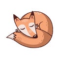 Sleeping fox in pencil style illustration