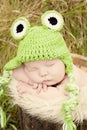 Sleeping frog Royalty Free Stock Photo