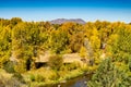 Fall Foliage around Steamboat Springs Colorado Royalty Free Stock Photo