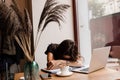 Sleeping girl with laptop on the table in loft cafe. Tired young woman with closed eyes have a break at work and Royalty Free Stock Photo