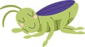 Sleeping Grasshopper Insect Royalty Free Stock Photo