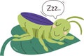 Sleeping Grasshopper Insect Royalty Free Stock Photo