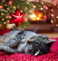 Christmas background with gray cat sleeps comfortably near the fireplace. Royalty Free Stock Photo