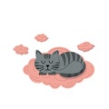 Sleeping gray cat on pink cloud. Flat, cartoon, vector