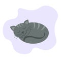 Sleeping gray tabby cat, pet curled up in a circle and covered with its tail