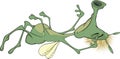 Sleeping green insect. Cartoon Royalty Free Stock Photo