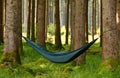 Sleeping hammock spanned between pine trees in a forest Royalty Free Stock Photo