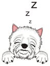 Sleeping head of dog and symbols z
