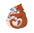 Sleeping hugging cats valentines. Funny happy kitties couple in love. Adorable kawaii sweet romantic feline animals