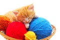 Sleeping kitten in a basket with colorful balls Royalty Free Stock Photo
