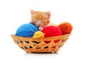 Sleeping kitten in a basket with colorful balls Royalty Free Stock Photo