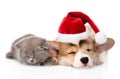 Sleeping Kitten And Pembroke Welsh Corgi Puppy With Santa Hat. I