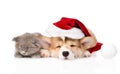 Sleeping kitten and Pembroke Welsh Corgi puppy with santa hat.