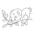 Cute koala sleeping on eucalyptus branch coloring page