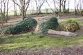 The sleeping lady at the Lost Gardens of Heligan lies buried in the woods. She is also known as the mud maid Royalty Free Stock Photo