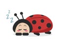 Sleeping Ladybird
