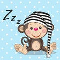 Sleeping monkey Royalty Free Stock Photo