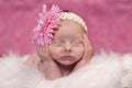 Sleeping newborn Royalty Free Stock Photo