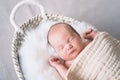 Sleeping newborn baby in basket wrapped in blanket in white fur background. Portrait of little child one week old