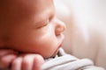 Sleeping newborn baby boy close-up portrait. Baby wrap Royalty Free Stock Photo