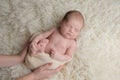 Sleeping Newborn Baby Boy with Mother`s Hands Royalty Free Stock Photo