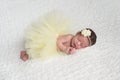 Newborn Baby Ballerina Royalty Free Stock Photo