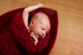 Sleeping newborn baby in red cocoon