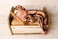 Sleeping newborn girl in the first days of life in a crib. Macro studio portrait of a child. Royalty Free Stock Photo